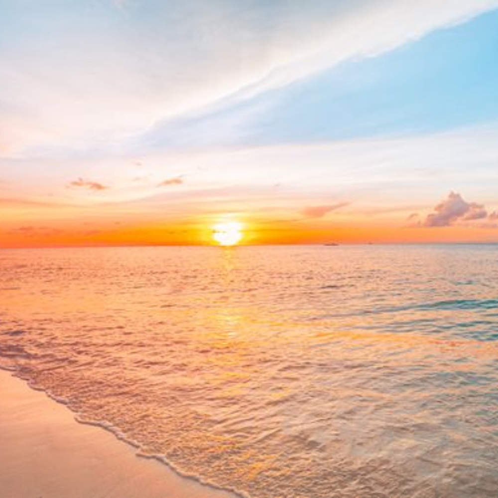 Meet your Posher, Jen jenn